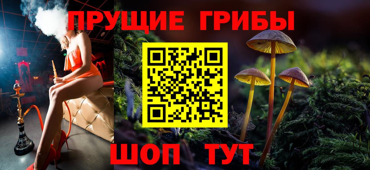 Псилоцибиновые грибы GOLDEN TEACHER  купить наркоту  Галлюциногенные грибы GOLDEN TEACHER  Семилуки  Вход с VPN 